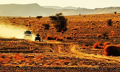 Mitsubishi Team w Rajdzie Dakar